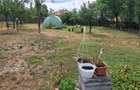 Casă individuală cu 2 camere cu Teren 2000 Mp în Surani - 3