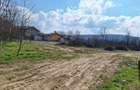 Teren intravilan in Batoti, Mehedinti, 5600 mp - 1