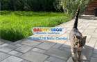 INCHIRIERE VILA P+1+M BRAGADIRU LEROY MERLYN - 19
