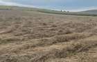 teren arabil agricol - 3