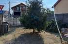 Casă cu 2 camere în Ronaț - 1