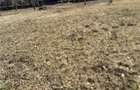 vand teren casa 2000 mp in mun Giurgiu ,str LUPENI - 9