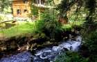 Casa din grinzi pe marginea paraului Borzont - 5