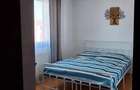 Inchiriere apartament 2 camere metrou Dimitrie Leonida - 16