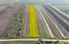 Teren 10.000 mp, parcelabil, ideal ansamblu case P+1 | Gulia - Dambovita - 2