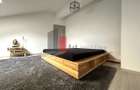 Apartament 3 camere tip Duplex - zona Calea Calarasilor/Matei Basarab - 16