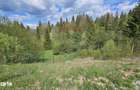 Teren 4048mp Campulung Moldovenesc, Strada Izvorul Alb, Suceava - 2