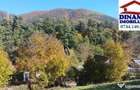 3600 mp teren intravilan, sat Bistrita, 12 Euro/mp - 3