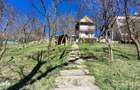 Teren intravilan de 1560 mp, front de 26 m, cu casa S+P, in Grigorescu - 9