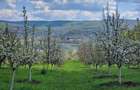 Teren Construcții de 8532 mp, în Valea lui Enache - 10