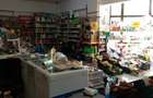 Spațiu comercial, de 100 mp, în Triaj - 10