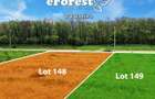 Profita acum de oferta de Pa?te! Langa padure. zona verde - eForest - 12