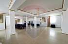 Spațiu comercial, de 400 mp, în Valea Rosie - 15