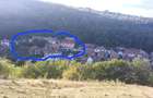Casa individuala de vanzare curte si gradina suprafata 1500mp - 4