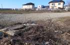 Vand teren 764mp Mogosoaia, zona Livezi, strada Eugen Barbu - 10
