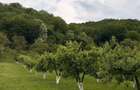 Casa cu anexe, curte, gradina, livada, padure - 9