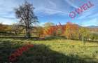 Casa de vanzare in Sohodol, Bran, cu teren de 4.831 m2!