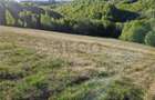 RECO, teren intravilan, Zona Sinteu, Bihor - 6