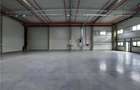 Spatiu Industrial - 4500 mp - Logistica - Productie - Depozitare - 22