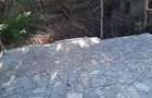 Vila S+P+1+M - Costinesti - 2