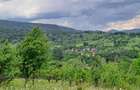 Teren 1464 mp Horezu, Valcea oportunitate - zona linistita, aproape de pensiuni si centrul orasului - 2