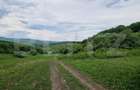 Teren extravilan de vanzare Vlaha 14.500 mp, zona superba, ideal pentr - 2
