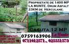Proprietate la Munte de 1300 MP,i.Casa de 11 Mp Drum din Asfalt - 2
