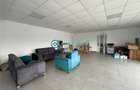 Royal Imobiliare - Inchiriere spatiu industrial zona Tantareni - 9
