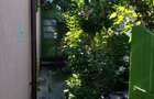Cerna-Vand casa batraneasca 18 000 Euro negociabil - la 15 km de Dunare - 6