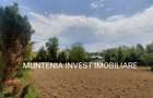 Proprietate de vanzare tip ferma, teren 28150 mp. Balilesti, Arges - 8