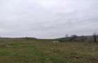 Teren intravilan de 4240 mp, în Tăutești - 1