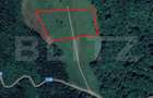 Teren extravilan de vanzare, 2,4 hectare, zona drumul Tarpiu - 1