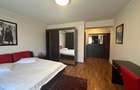 Apartament cu 3 camere decomandat în Herăstrău - 9