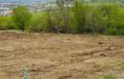 Teren de vanzare, 1079 m2(2parcele), Visan, jud.Iasi.Proprietar! - 5