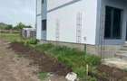 Casă cu 4 camere cu Teren 190 Mp în Central - 4