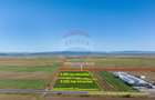 Teren agricol intravilan de 7500 mp, în Tărlungeni - 3