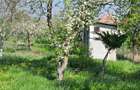 Casă cu 1 camere în Cistei - 1