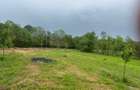 Teren Construcții intravilan de 1050 mp, în Petrovaselo - 3