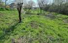 Teren Intravilan Oradea (Saldabagiu de Munte)Zona Hanul Pescarilor - 1