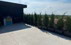 Penthouse 3 camere Baneasa - 9