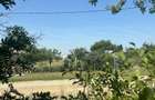 vand urgent teren intravilan - 2