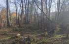 Vand teren intravilan - 6
