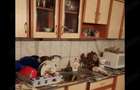Casa de vanzare in Tarnova jude?ul Arad - 10
