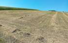 Teren agricol extravilan de vanzare in satul Tarpesti, jud. Neamt - 1