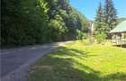 RECO Apartament cu doua camere in Padurea Neagra - 2