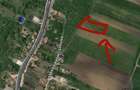 Teren + fundatie + proiect casa | 773 mp | Hateg | Gata de construit - 3
