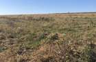 Vand teren 38575 mp Dealu Mare Jud Botosani - 2