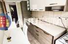 Dristor 10` Metrou Camil Ressu Parc IOR Mall ParkLake PetFriendly - 6