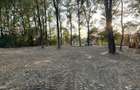Teren 1667 MP | Zona Strand | Bulevard Dem Radulescu - 1