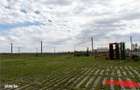 Pensiune + 4,7 Ha teren E85 Roman - Neamt - Afacere la cheie - 4